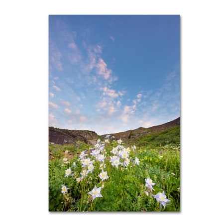 Dan Ballard 'Columbine Morning I' Canvas Art,12x19